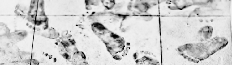 tłumacz przysięgły z polskiego na niemiecki - kontakt