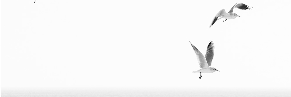 beglaubigte &Uuml;bersetzungen aus dem Polnischen ins Deutsche - Lebenslauf